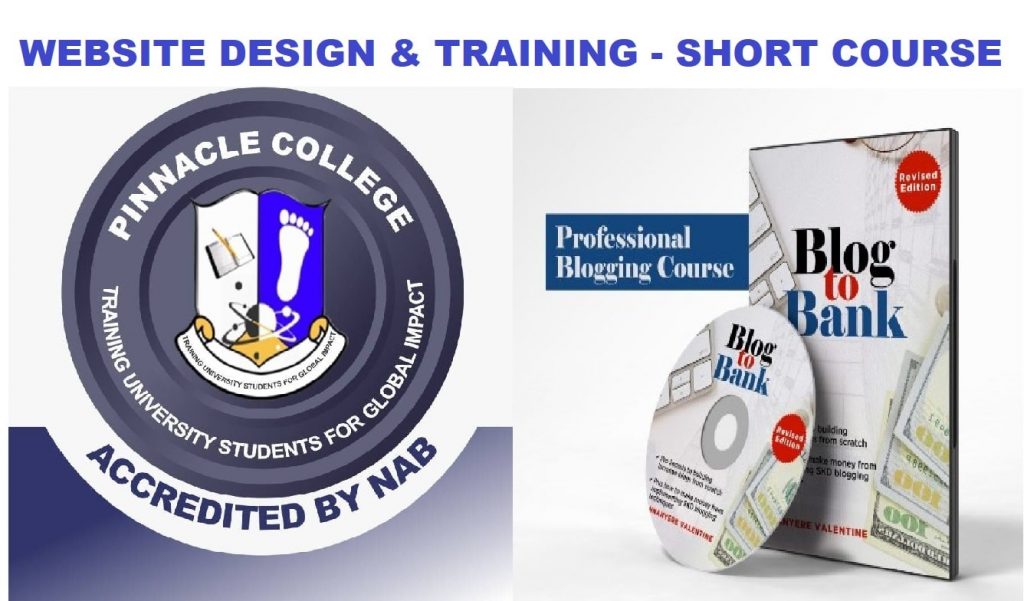 Website design & Blogging Training: Acquire these skills and make up to $1000 a month blogging and designing websites. Register now