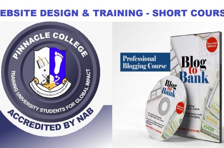 Website design & Blogging Training: Acquire these skills and make up to $1000 a month blogging and designing websites. Register now